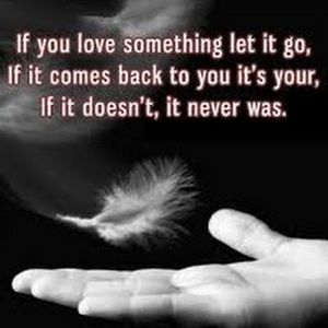 Meet your Posher, Janalee